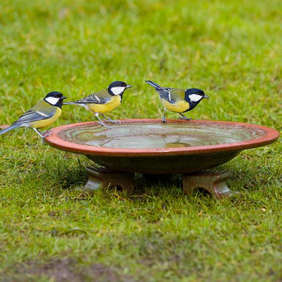 Echoes ceramic bird bath product photo side L