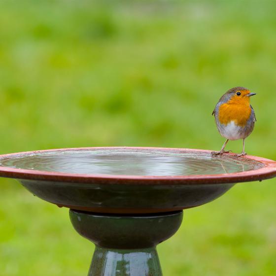 Echoes ceramic bird bath & stand product photo ai4 L