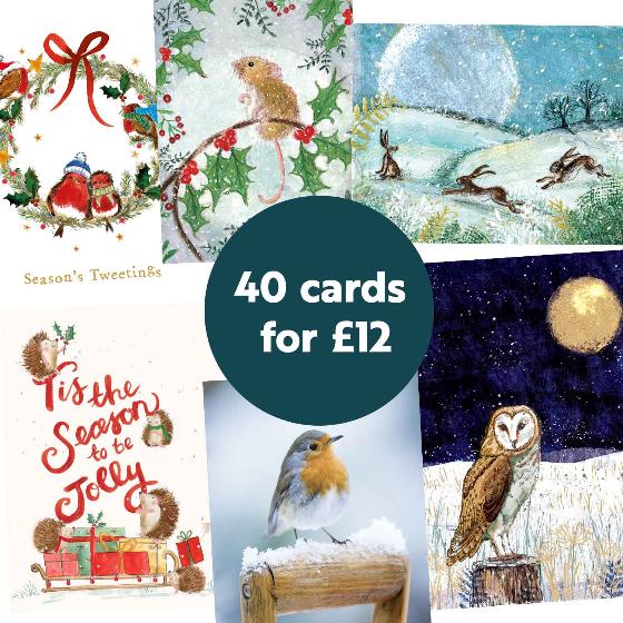 RSPB Fab 40 large box of Christmas cards product photo front L