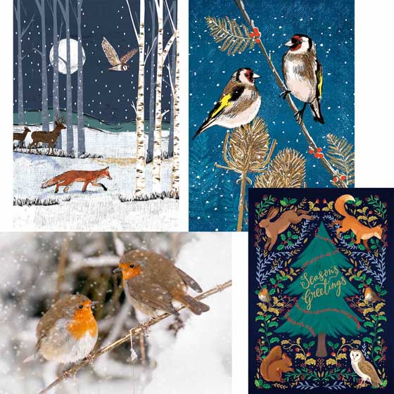 Fab forty RSPB charity Christmas cards - pack of 40 product photo side L