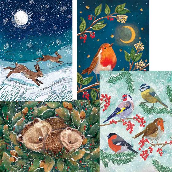 Fab forty RSPB charity Christmas cards - pack of 40 product photo back L