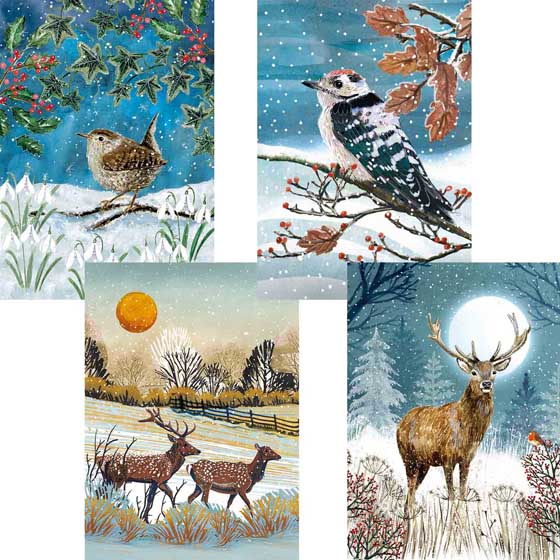 Fab forty RSPB charity Christmas cards - pack of 40 product photo front L
