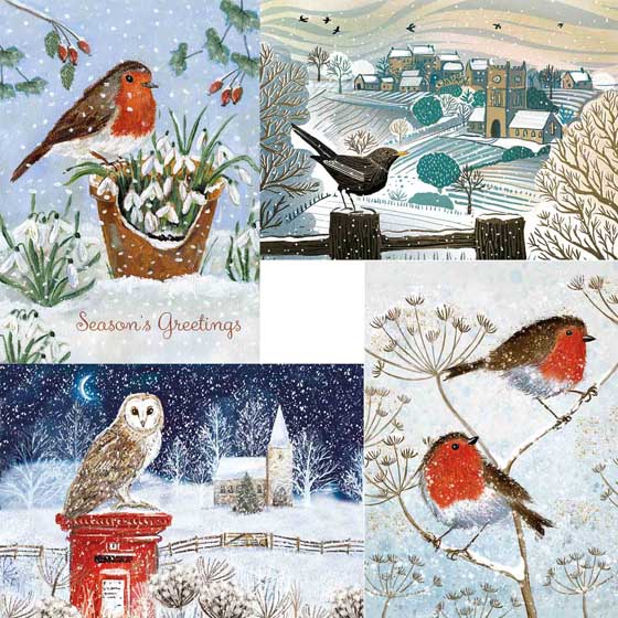 Fab forty RSPB charity Christmas cards - pack of 40 product photo ai5 L