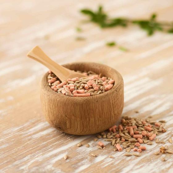 Favourites blend extra bird food 5.5kg product photo ai4 L