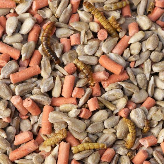 Favourites blend extra bird food 5.5kg product photo side L