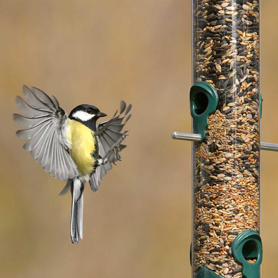 Feeder mix extra bird seed product photo back L