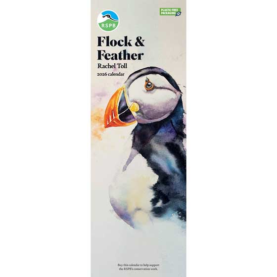 RSPB Flock & feather watercolour calendar 2026 product photo default L