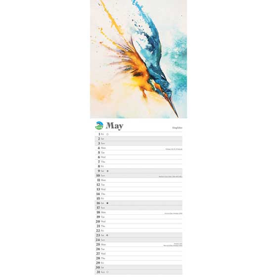 RSPB Flock & feather watercolour calendar 2026 product photo side L