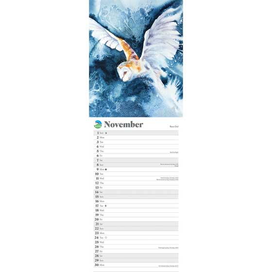 RSPB Flock & feather watercolour calendar 2026 product photo back L