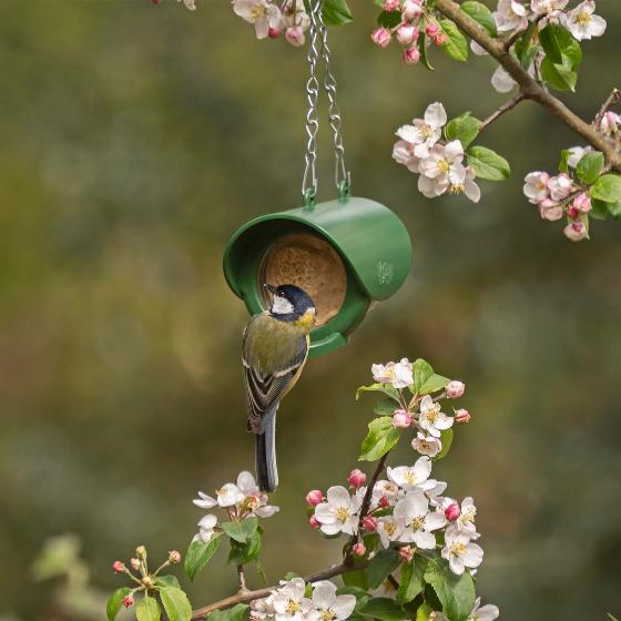 Flutter Butter® hanging feeder product photo front L