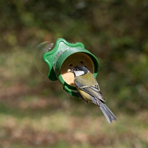 Flutter Butter® wall & window feeder product photo side L