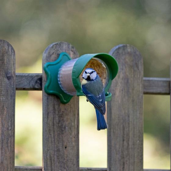 Flutter Butter® wall & window feeder product photo front L