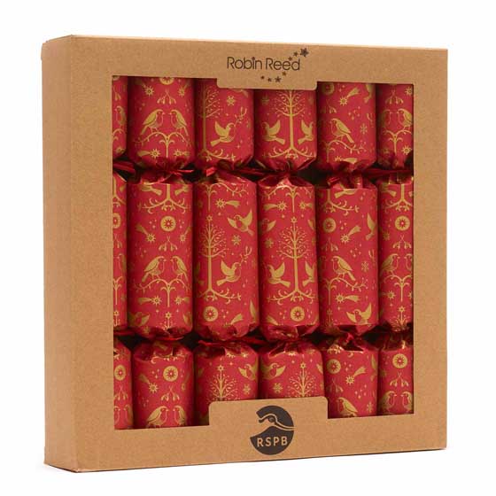 RSPB Pin badge plastic-free Christmas crackers, box of six product photo ai4 L
