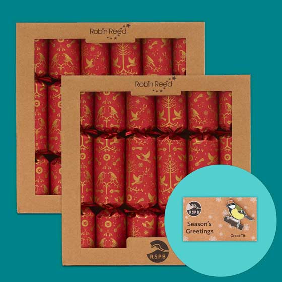 RSPB Pin badge Christmas crackers, two boxes of six product photo default L