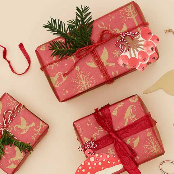 Folksy Robin recycled wrapping paper, 10 metres product photo default L