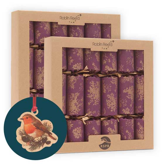 Fruits of the forest recycled crackers with wooden decorations, 2x boxes of six product photo default L