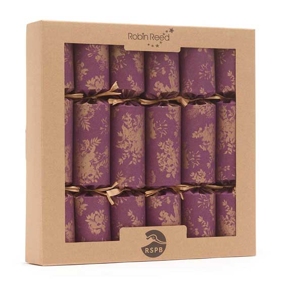 Fruits of the forest recycled crackers with wooden decorations, 2x boxes of six product photo ai5 L