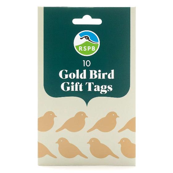 Folksy Robin wrapping paper bundle product photo ai6 L