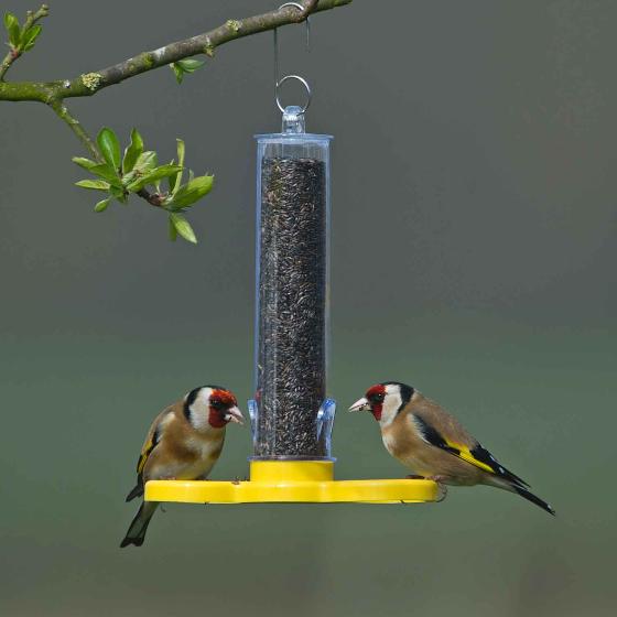 Goldfinch mini nyjer seed feeder product photo default L