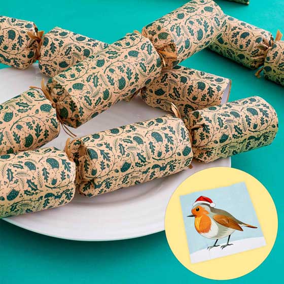 RSPB 'Pin the beak' game plastic-free Christmas crackers, box of six product photo default L