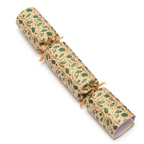RSPB 'Pin the beak' game plastic-free Christmas crackers, box of six product photo side L