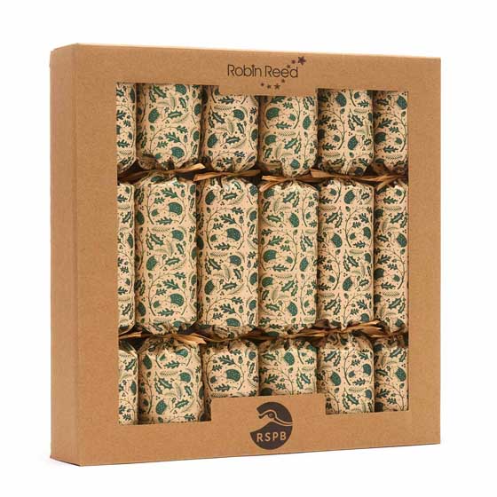 RSPB 'Pin the beak' game plastic-free Christmas crackers, box of six product photo ai4 L