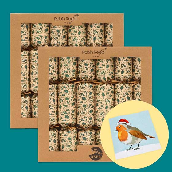 RSPB 'Pin the beak' game Christmas crackers, two boxes of six product photo default L