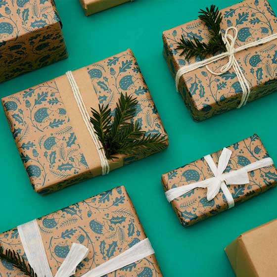 Hidden Hedgehog wrapping paper, 10 metres product photo front L