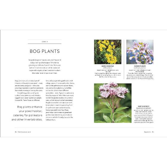RHS How to create a wildlife pond product photo ai6 L
