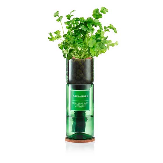 Coriander Hydro-herb kit product photo default L