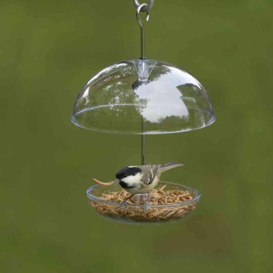 I love Robins® pearl feeder & dried mealworms product photo front L