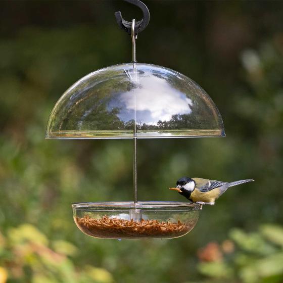 I Love Robins® large dome feeder product photo default L