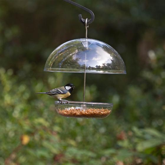 I Love Robins® large dome feeder product photo front L