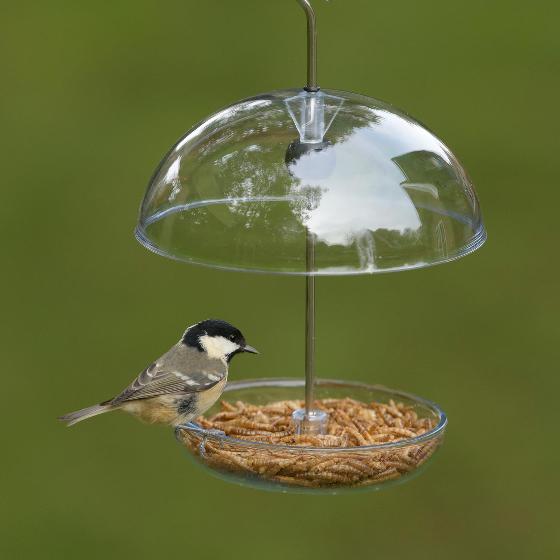 I Love Robins® pearl feeder product photo default L