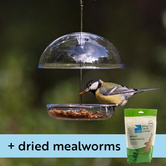 I love Robins® pearl feeder & dried mealworms product photo default L