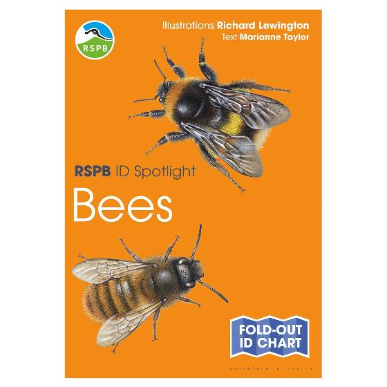 Bees identifier chart - RSPB ID Spotlight series product photo default L