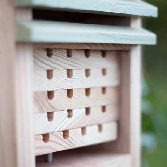 Insect study centre product photo front L