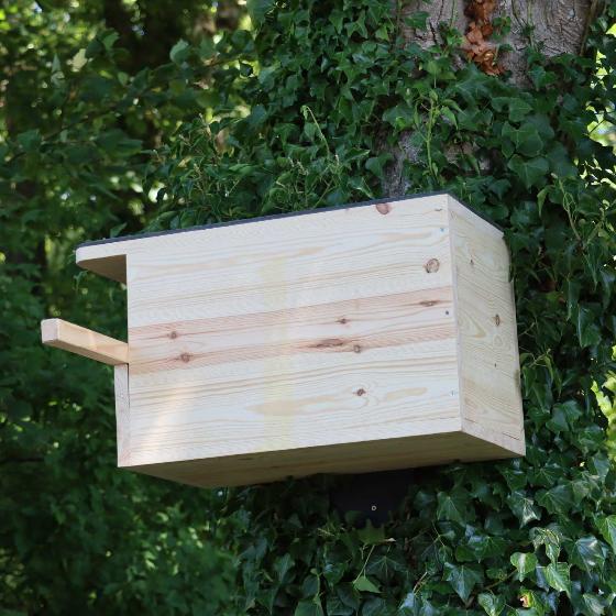 RSPB Kestrel nest box product photo back L