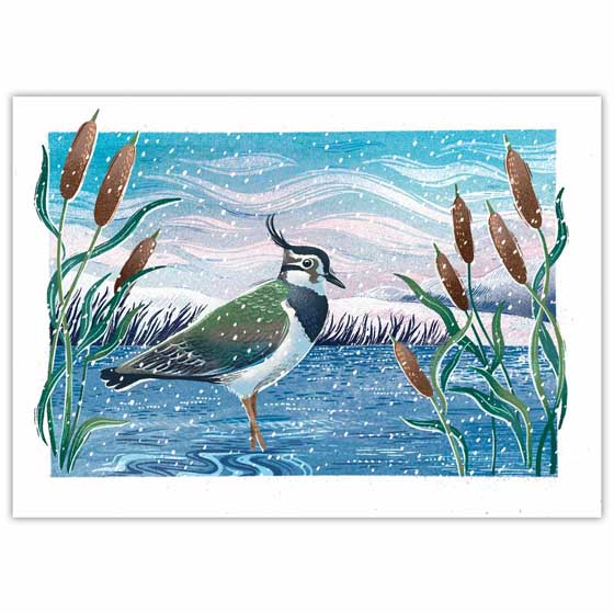 Lakeside Lapwing Christmas cards, pack of 10 product photo default L