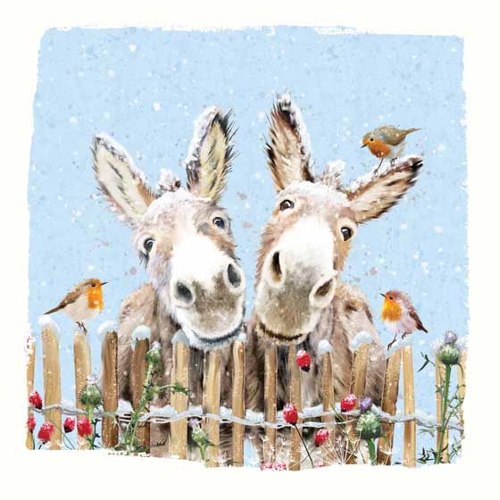 Little Donkeys Christmas cards, pack of 10 product photo default L