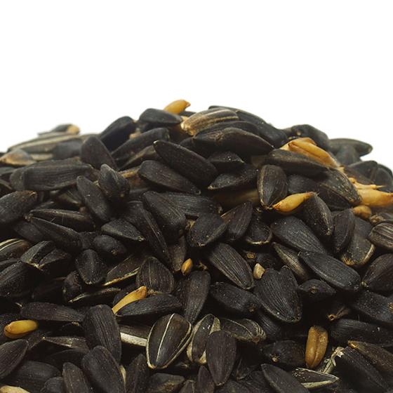 Feeder mix bird food 1.5kg product photo default L