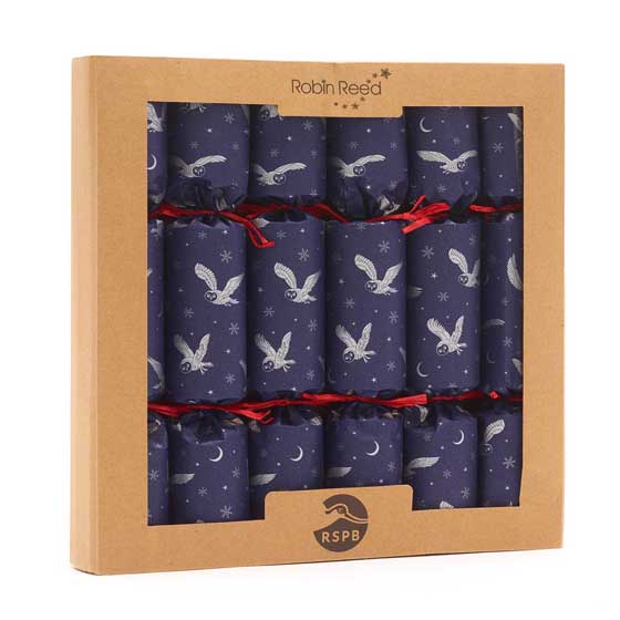 Moonlit Owl recycled crackers with glider toys, box of six product photo front L