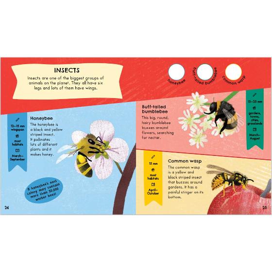 RSPB Nature Spotter: Wildlife product photo side L