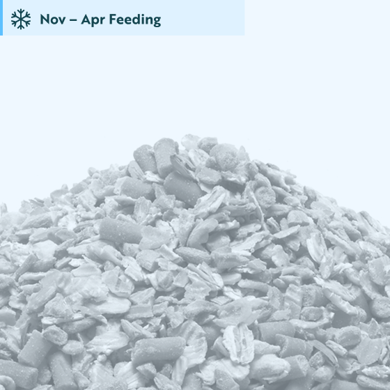 No grow ground mix 5.5kg product photo default L