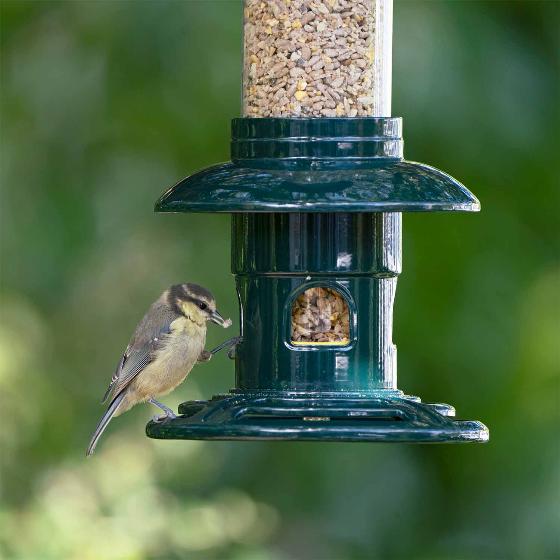 No-mess sunflower mix bird seed 1.8kg product photo ai5 L