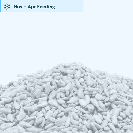 No-mess sunflower mix bird seed 5.5kg product photo default L