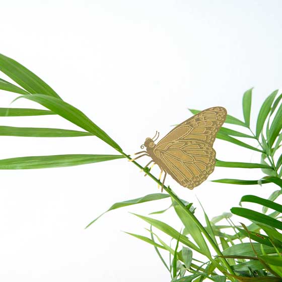 Butterfly plant animal decoration product photo side L