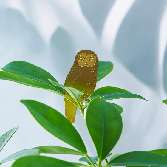Owl plant animal decoration product photo side L
