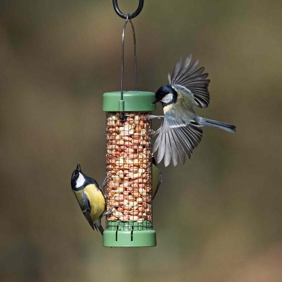 Premium peanuts sack 12.75kg product photo back L