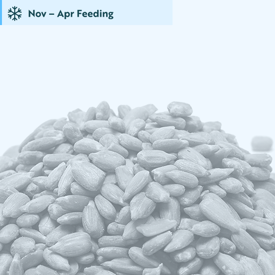 Premium sunflower hearts bird seed 5.5kg product photo default L